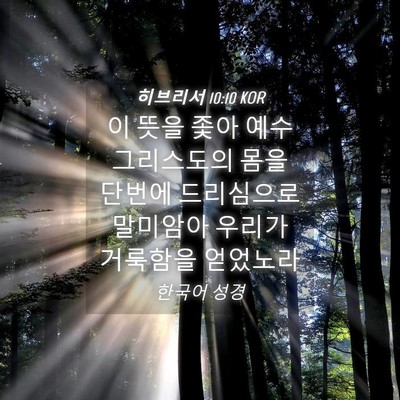 Picture 04 - 히브리서 10:10 KOR - 이 뜻을 좇아 예수 그리스도의 몸을 - Bible Verse Picture