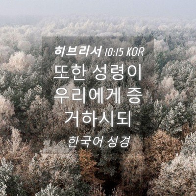 Picture 04 - 히브리서 10:15 KOR - 또한 성령이 우리에게 - Bible Verse Picture