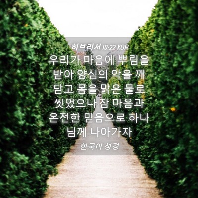 Picture 04 - 히브리서 10:22 KOR - 우리가 마음에 뿌림을 받아 양심의 - Bible Verse Picture