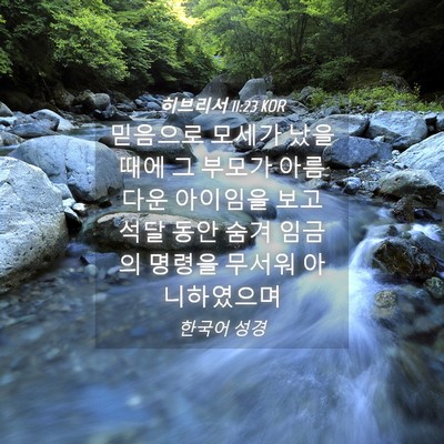 Picture 04 - 히브리서 11:23 KOR - 믿음으로 모세가 났을 때에 그 - Bible Verse Picture