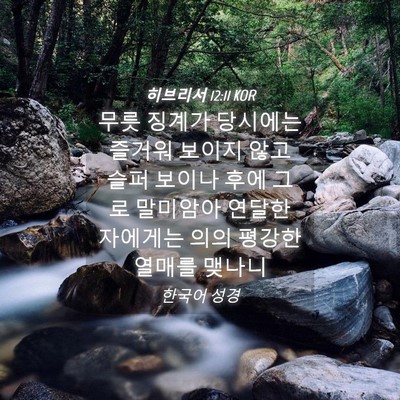 Picture 04 - 히브리서 12:11 KOR - 무릇 징계가 당시에는 즐거워 보이지 - Bible Verse Picture