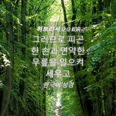 Picture 04 - 히브리서 12:12 KOR - 그러므로 피곤한 손과 연약한 무릎을 - Bible Verse Picture