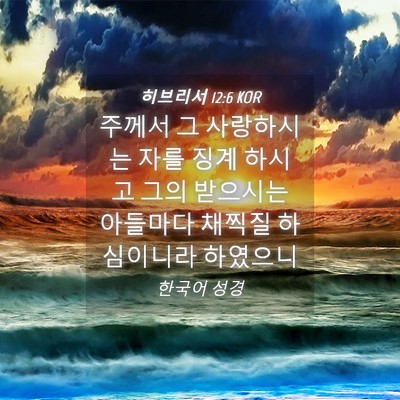 Picture 04 - 히브리서 12:6 KOR - 주께서 그 사랑하시는 자를 징계 - Bible Verse Picture