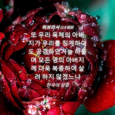 Picture 04 - 히브리서 12:9 KOR - 또 우리 육체의 아버지가 우리를 - Bible Verse Picture