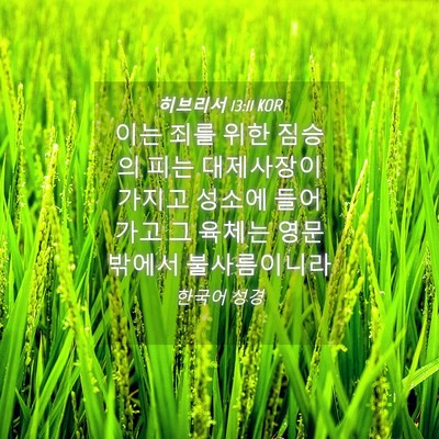 Picture 04 - 히브리서 13:11 KOR - 이는 죄를 위한 짐승의 피는 - Bible Verse Picture
