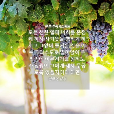 Picture 04 - 히브리서 13:21 KOR - 모든 선한 일에 너희를 온전케 하사 - Bible Verse Picture