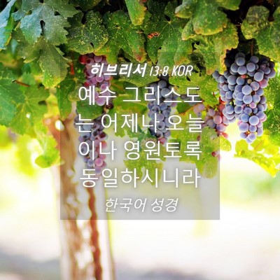 Picture 04 - 히브리서 13:8 KOR - 예수 그리스도는 어제나 오늘이나 - Bible Verse Picture