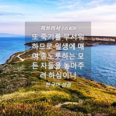 Picture 04 - 히브리서 2:15 KOR - 또 죽기를 무서워하므로 일생에 매여 - Bible Verse Picture