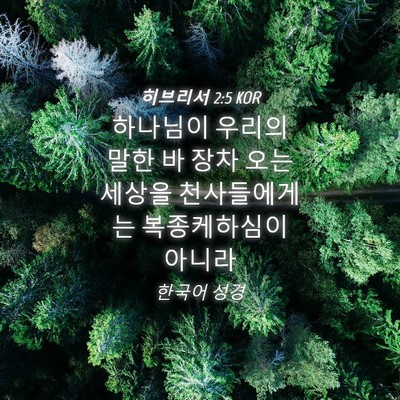 Picture 04 - 히브리서 2:5 KOR - 하나님이 우리의 말한 바 장차 오는 - Bible Verse Picture