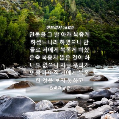 Picture 04 - 히브리서 2:8 KOR - 만물을 그 발 아래 복종케 - Bible Verse Picture