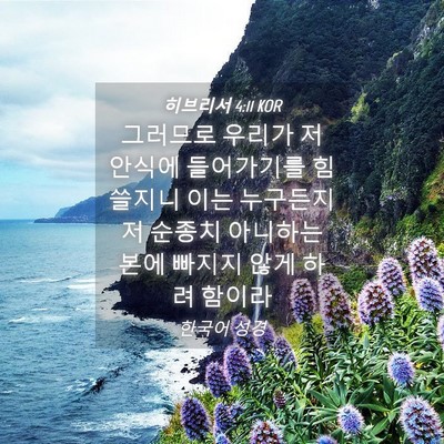 Picture 04 - 히브리서 4:11 KOR - 그러므로 우리가 저 안식에 - Bible Verse Picture