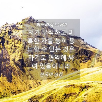 Picture 04 - 히브리서 5:2 KOR - 저가 무식하고 미혹한 자를 능히 - Bible Verse Picture
