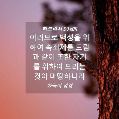 Picture 04 - 히브리서 5:3 KOR - 이러므로 백성을 위하여 속죄제를 - Bible Verse Picture