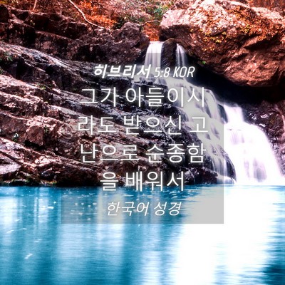 Picture 04 - 히브리서 5:8 KOR - 그가 아들이시라도 받으신 고난으로 - Bible Verse Picture