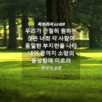 Picture 04 - 히브리서 6:11 KOR - 우리가 간절히 원하는 것은 너희 각 - Bible Verse Picture