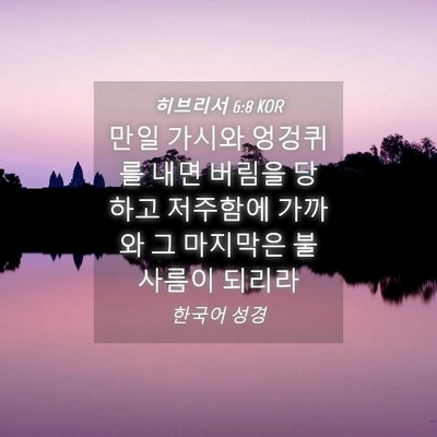 Picture 04 - 히브리서 6:8 KOR - 만일 가시와 엉겅퀴를 내면 버림을 - Bible Verse Picture