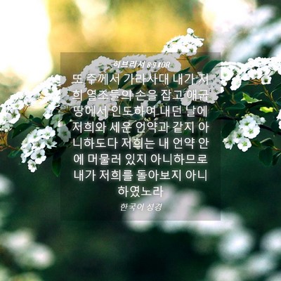 Picture 04 - 히브리서 8:9 KOR - 또 주께서 가라사대 내가 저희 - Bible Verse Picture