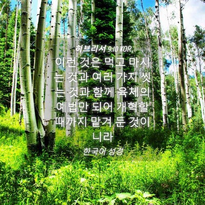 Picture 04 - 히브리서 9:10 KOR - 이런 것은 먹고 마시는 것과 여러 - Bible Verse Picture