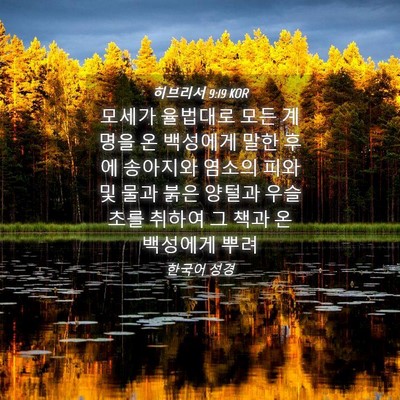 Picture 04 - 히브리서 9:19 KOR - 모세가 율법대로 모든 계명을 온 - Bible Verse Picture