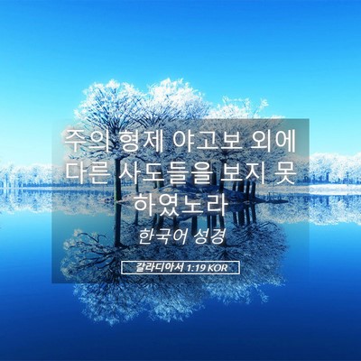 Picture 05 - 갈라디아서 1:19 KOR - 주의 형제 야고보 외에 다른 - Bible Verse Picture