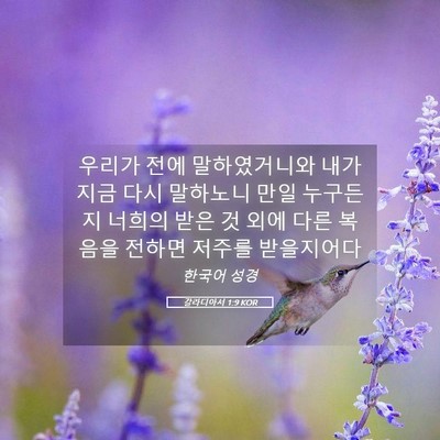 Picture 05 - 갈라디아서 1:9 KOR - 우리가 전에 말하였거니와 내가 지금 - Bible Verse Picture