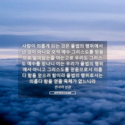 Picture 05 - 갈라디아서 2:16 KOR - 사람이 의롭게 되는 것은 율법의 - Bible Verse Picture