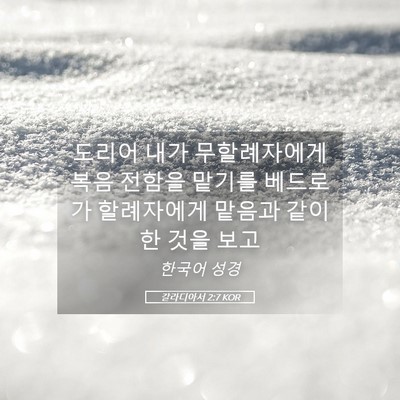 Picture 05 - 갈라디아서 2:7 KOR - 도리어 내가 무할례자에게 복음 - Bible Verse Picture