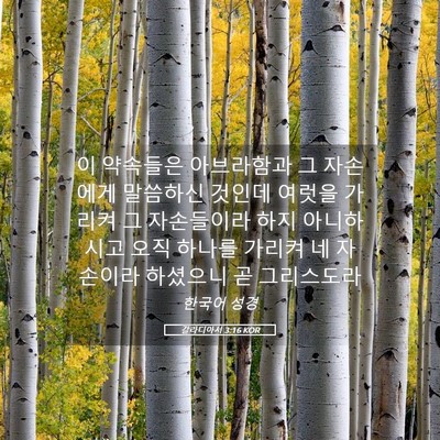 Picture 05 - 갈라디아서 3:16 KOR - 이 약속들은 아브라함과 그 자손에게 - Bible Verse Picture