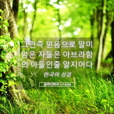 Picture 05 - 갈라디아서 3:7 KOR - 그런즉 믿음으로 말미암은 자들은 - Bible Verse Picture