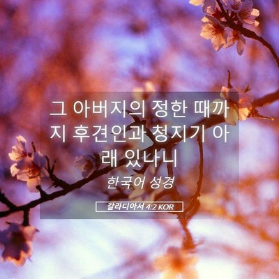 Picture 05 - 갈라디아서 4:2 KOR - 그 아버지의 정한 때까지 후견인과 - Bible Verse Picture