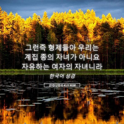 Picture 05 - 갈라디아서 4:31 KOR - 그런즉 형제들아 우리는 계집 종의 - Bible Verse Picture