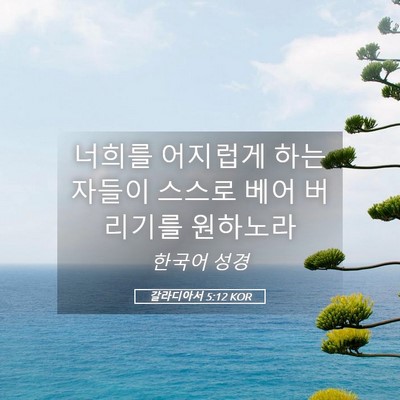 Picture 05 - 갈라디아서 5:12 KOR - 너희를 어지럽게 하는 자들이 스스로 - Bible Verse Picture