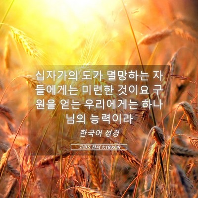 Picture 05 - 고린도전서 1:18 KOR - 십자가의 도가 멸망하는 자들에게는 - Bible Verse Picture