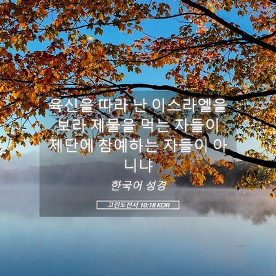 Picture 05 - 고린도전서 10:18 KOR - 육신을 따라 난 이스라엘을 보라 - Bible Verse Picture