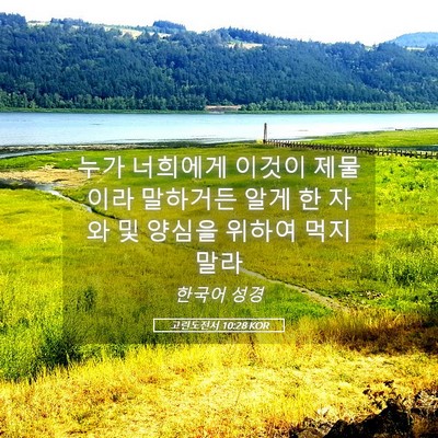 Picture 05 - 고린도전서 10:28 KOR - 누가 너희에게 이것이 제물이라 - Bible Verse Picture