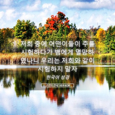 Picture 05 - 고린도전서 10:9 KOR - 저희 중에 어떤이들이 주를 - Bible Verse Picture