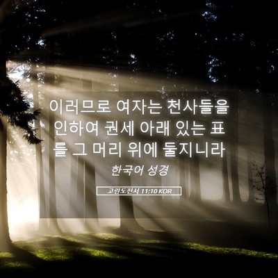Picture 05 - 고린도전서 11:10 KOR - 이러므로 여자는 천사들을 인하여 - Bible Verse Picture