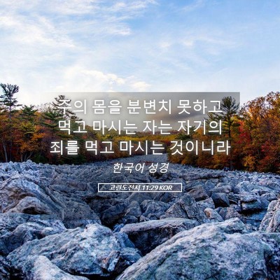 Picture 05 - 고린도전서 11:29 KOR - 주의 몸을 분변치 못하고 먹고 - Bible Verse Picture