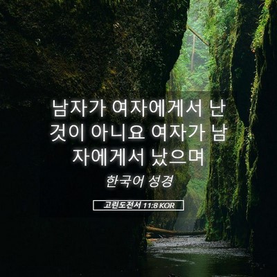 Picture 05 - 고린도전서 11:8 KOR - 남자가 여자에게서 난 것이 아니요 - Bible Verse Picture