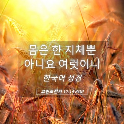 Picture 05 - 고린도전서 12:14 KOR - 몸은 한 지체뿐 아니요 - Bible Verse Picture