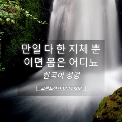 Picture 05 - 고린도전서 12:19 KOR - 만일 다 한 지체 뿐이면 몸은 - Bible Verse Picture