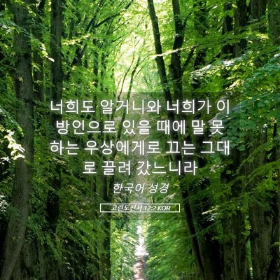 Picture 05 - 고린도전서 12:2 KOR - 너희도 알거니와 너희가 이방인으로 - Bible Verse Picture