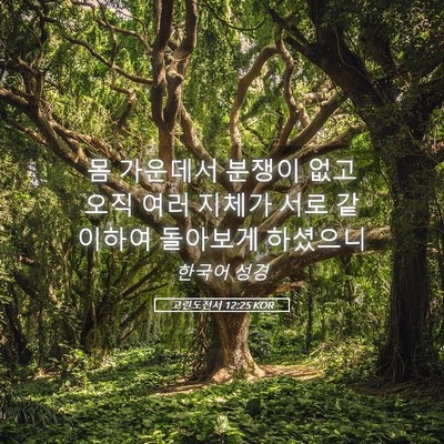 Picture 05 - 고린도전서 12:25 KOR - 몸 가운데서 분쟁이 없고 오직 여러 - Bible Verse Picture