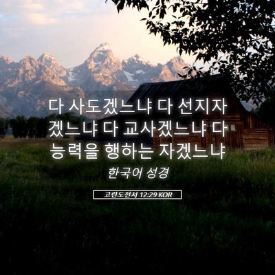 Picture 05 - 고린도전서 12:29 KOR - 다 사도겠느냐 다 선지자겠느냐 다 - Bible Verse Picture