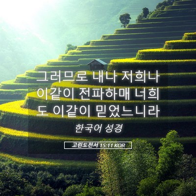 Picture 05 - 고린도전서 15:11 KOR - 그러므로 내나 저희나 이같이 - Bible Verse Picture