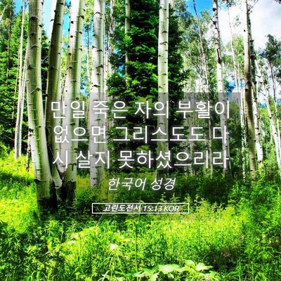 Picture 05 - 고린도전서 15:13 KOR - 만일 죽은 자의 부활이 없으면 - Bible Verse Picture
