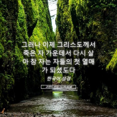 Picture 05 - 고린도전서 15:20 KOR - 그러나 이제 그리스도께서 죽은 자 - Bible Verse Picture