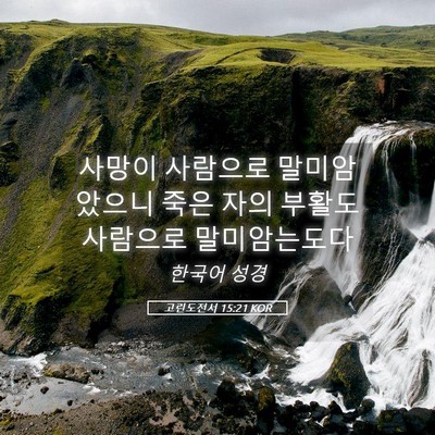 Picture 05 - 고린도전서 15:21 KOR - 사망이 사람으로 말미암았으니 죽은 - Bible Verse Picture