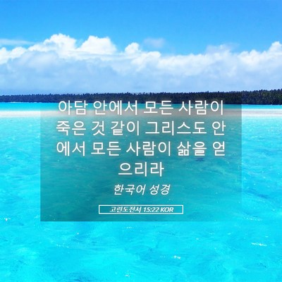 Picture 05 - 고린도전서 15:22 KOR - 아담 안에서 모든 사람이 죽은 것 - Bible Verse Picture