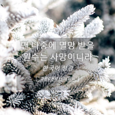 Picture 05 - 고린도전서 15:26 KOR - 맨 나중에 멸망 받을 원수는 - Bible Verse Picture